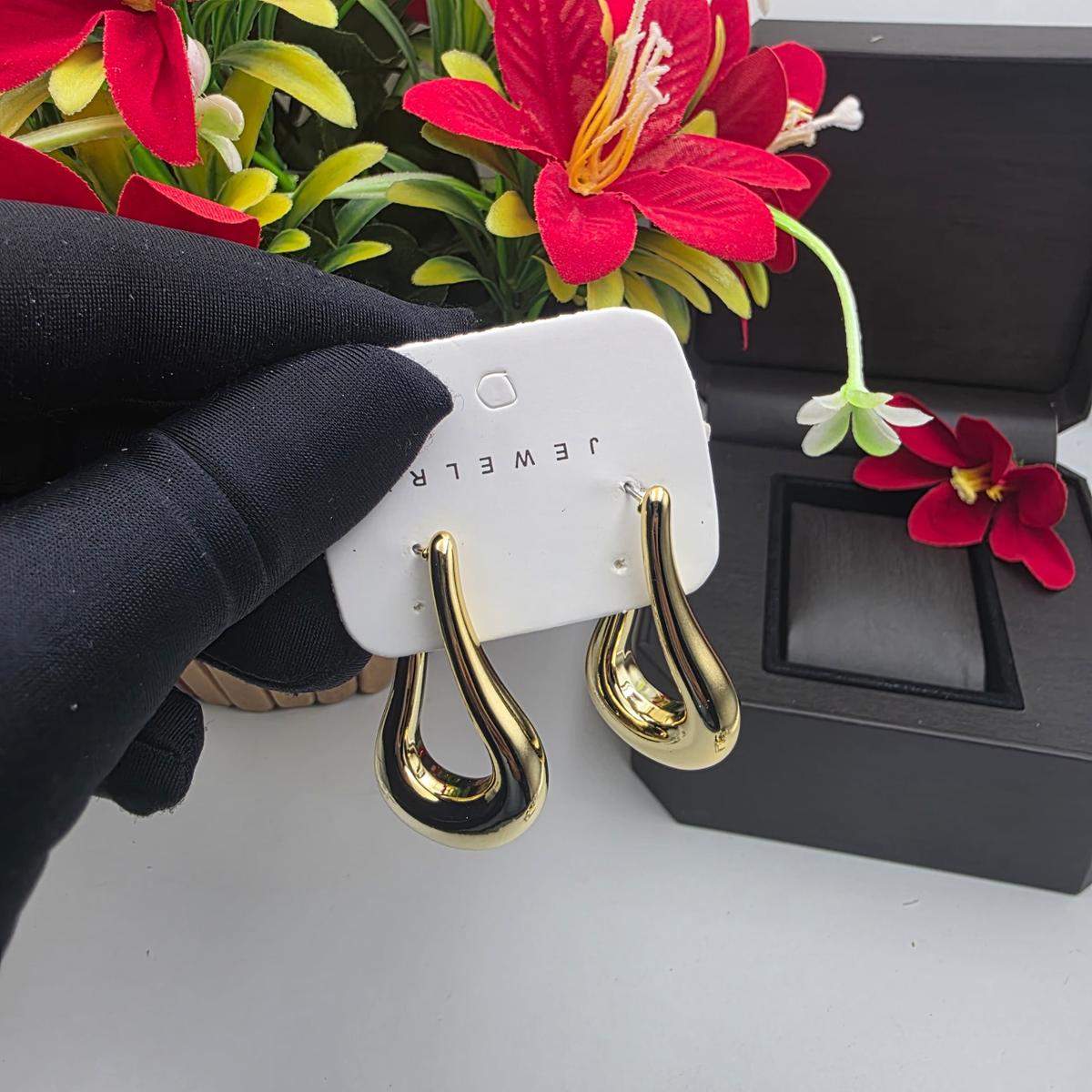 Fashion earrings
