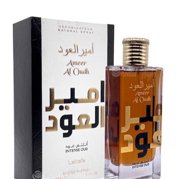 Ameer Al Oudh